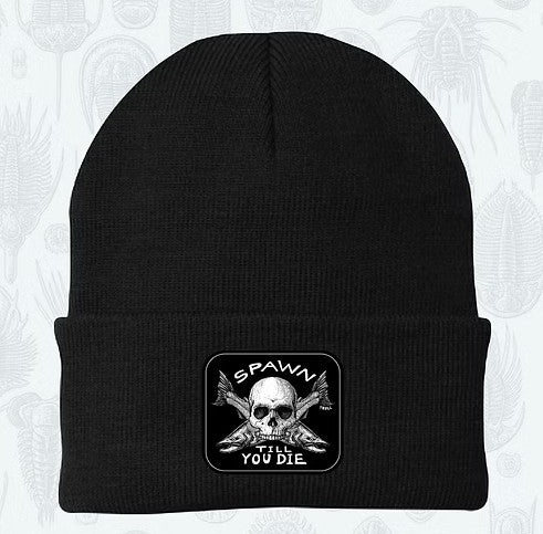 Spawn Til You Die Beanie