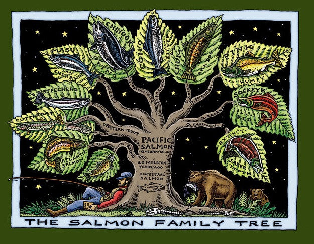 Salmon Family Tree T-Shirt (Ladies Cut)